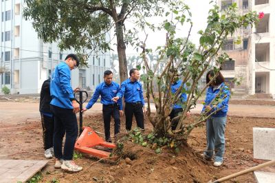 LỄ PH&Aacute;T ĐỘNG TRỒNG C&Acirc;Y XU&Acirc;N 2025 &ndash; GIEO MẦM XANH, LAN TỎA Y&Ecirc;U THƯƠNG